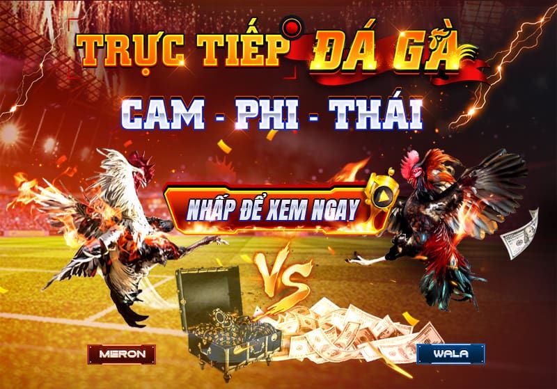 Khám phá Đá Gà OK88 – Tận hưởng trận đấu kịch tính & cơ hội thắng đậm
