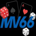 Mv66tg cn com